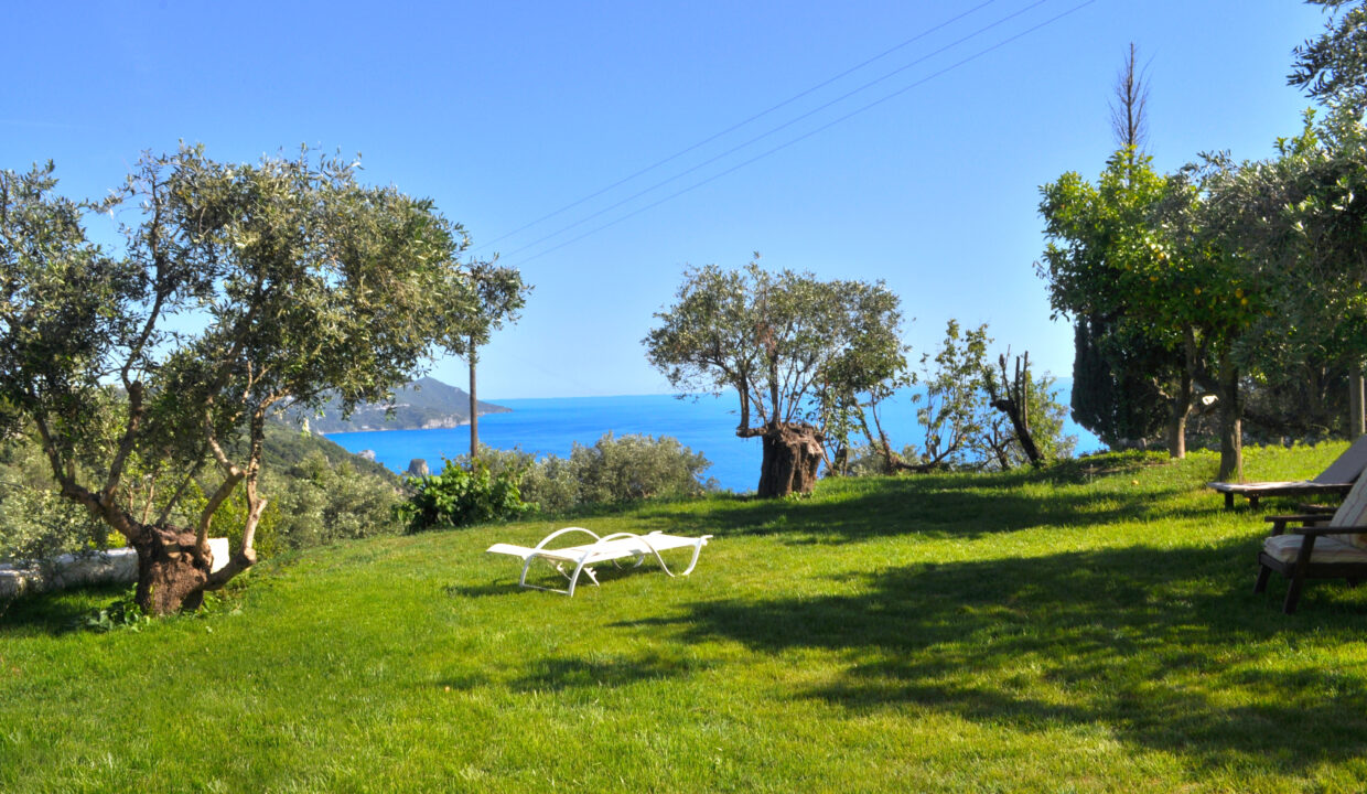 Ferienhaus Lemoni - im Sommer spenden die uralten Olivenbäumen angenehme Schattenplätze.