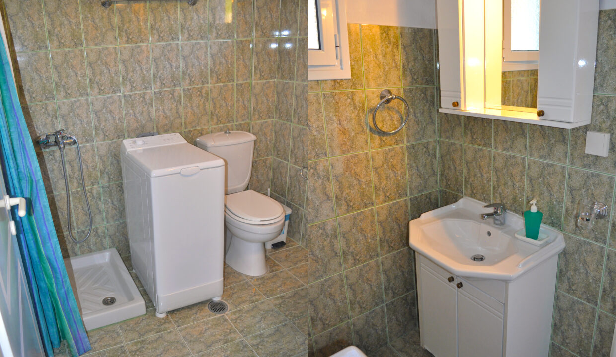 Kleines Ferienhaus Ritsa - das Bad mit Dusche, WC und Waschmaschine.